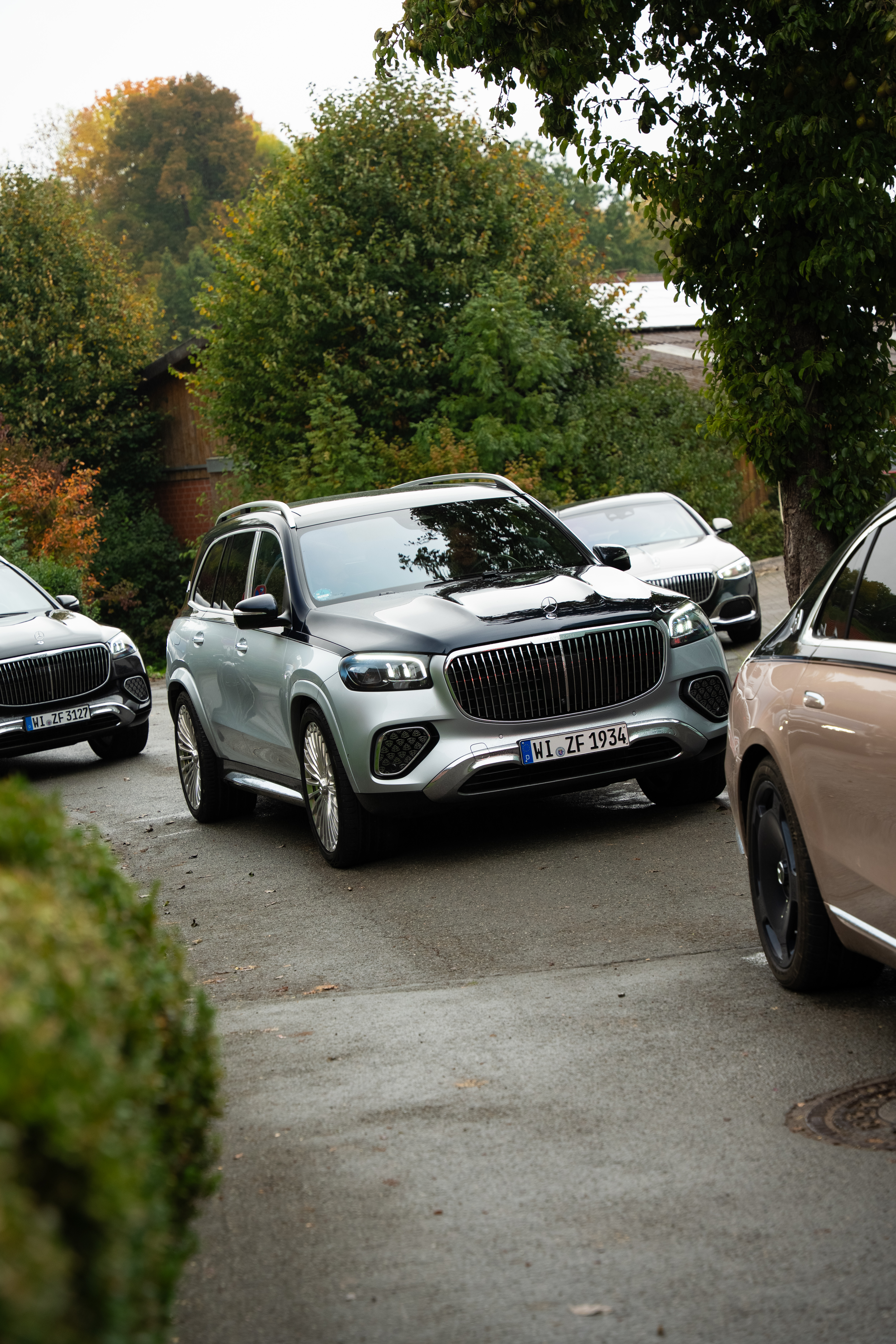 Mercedes-Benz Driving Event