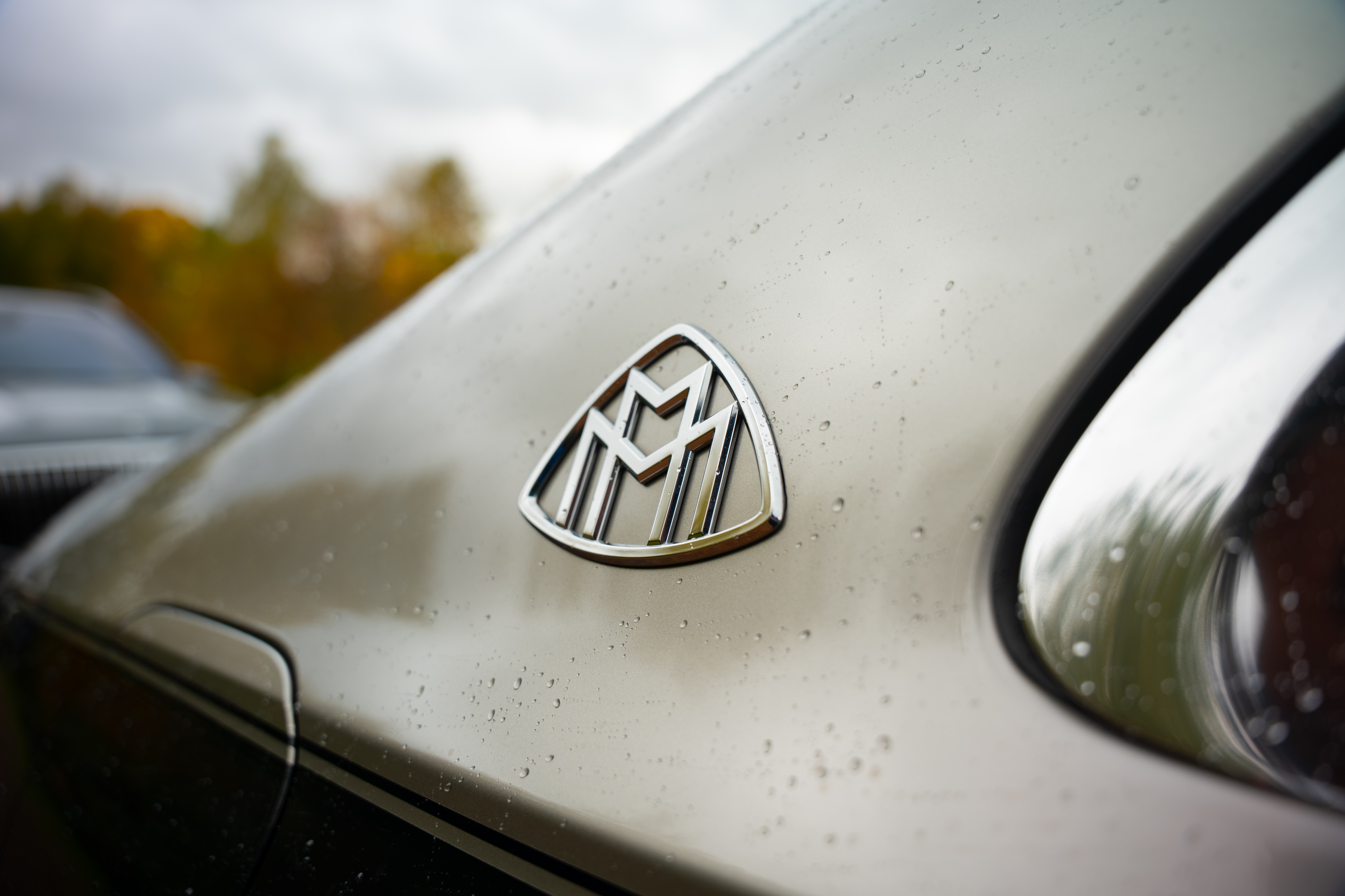 Mercedes-Benz Driving Event